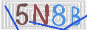 Immagine CAPTCHA