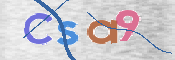 Immagine CAPTCHA