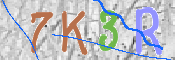 Immagine CAPTCHA