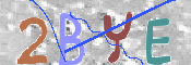 Immagine CAPTCHA