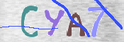 Immagine CAPTCHA